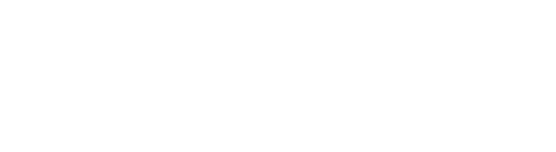 Fleximize