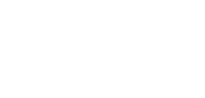 SMY IT Specialists
